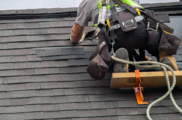 Best Roof Leak Repair  in Floris, VA