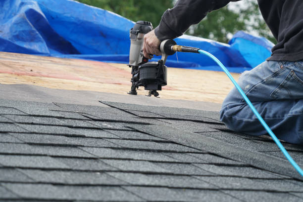 Best Solar Panel Roofing Installation  in Floris, VA