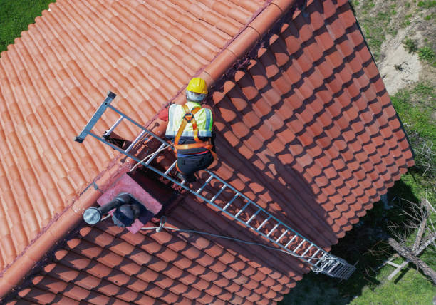 Best Roof Coating and Sealing  in Floris, VA
