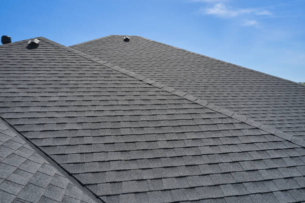 Best Roof Moss and Algae Removal  in Floris, VA